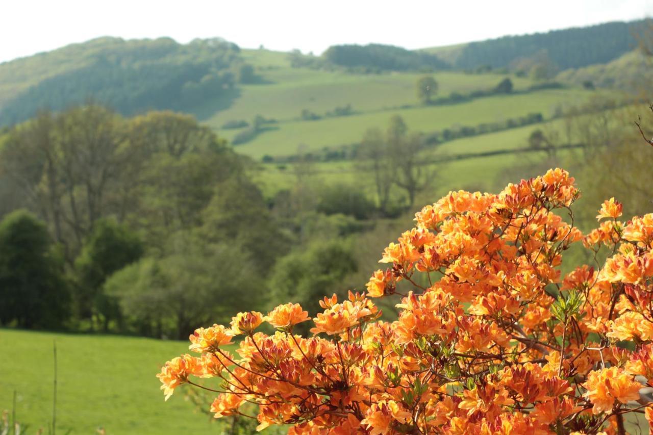 Milebrook House Bed & Breakfast Knighton  Dış mekan fotoğraf